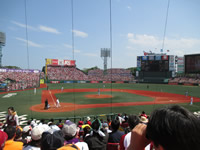 Baseball Field